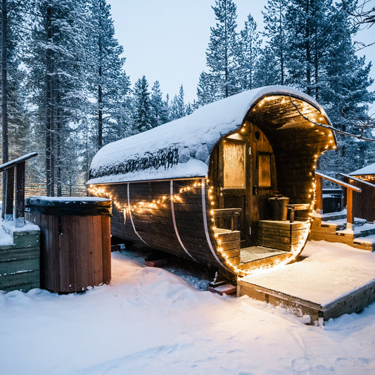 Rovaniemi Sauna World + Lunch Bundle