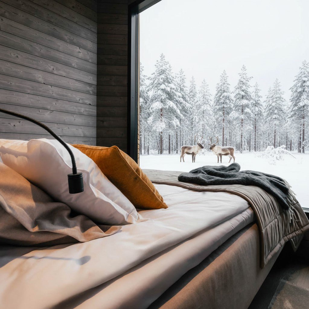 Chalet accommodation in winter