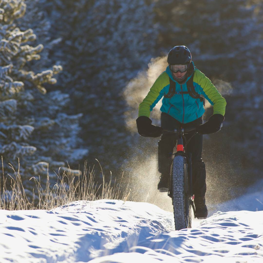 Electric fatbike safari in Lapland Winter Park